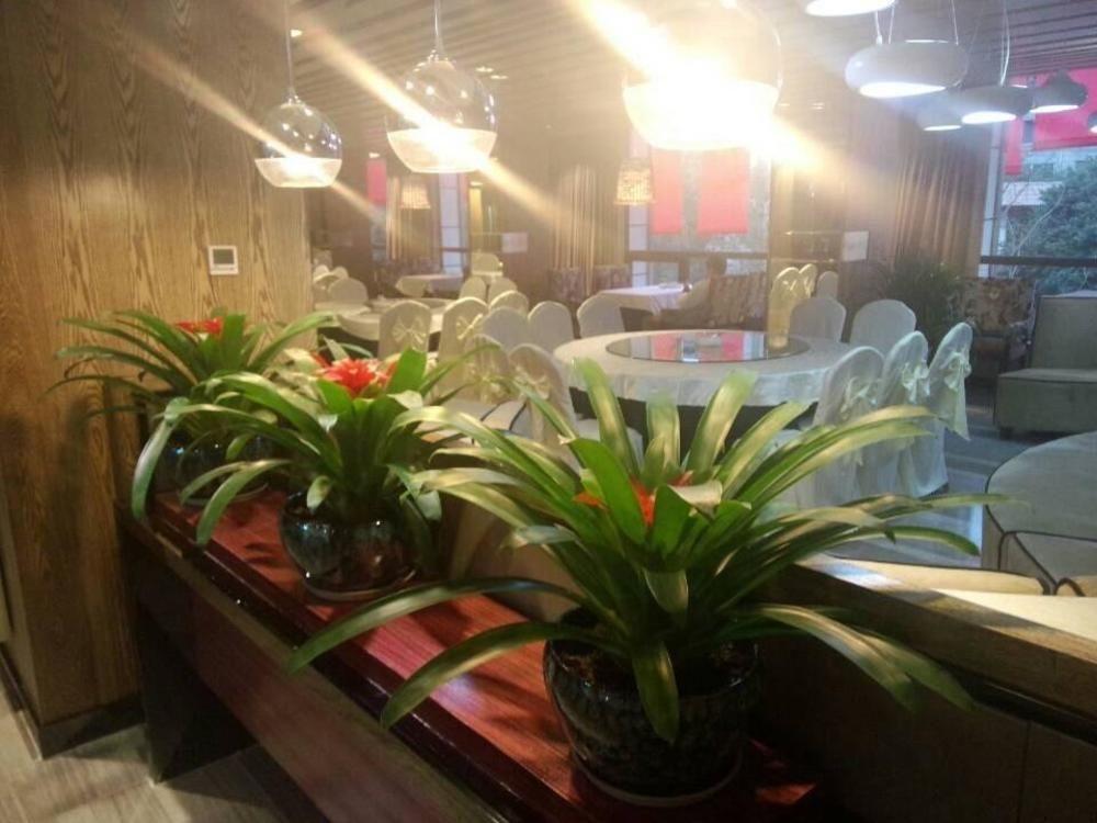 Chengdu Hello Hotel CTU Εξωτερικό φωτογραφία
